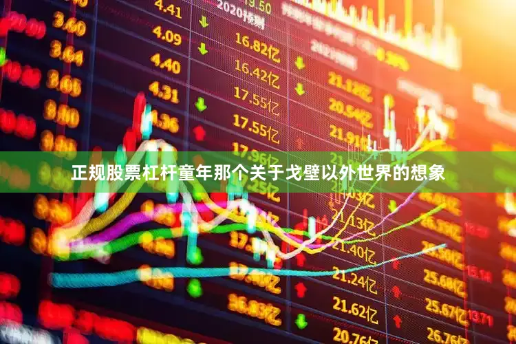 正规股票杠杆童年那个关于戈壁以外世界的想象