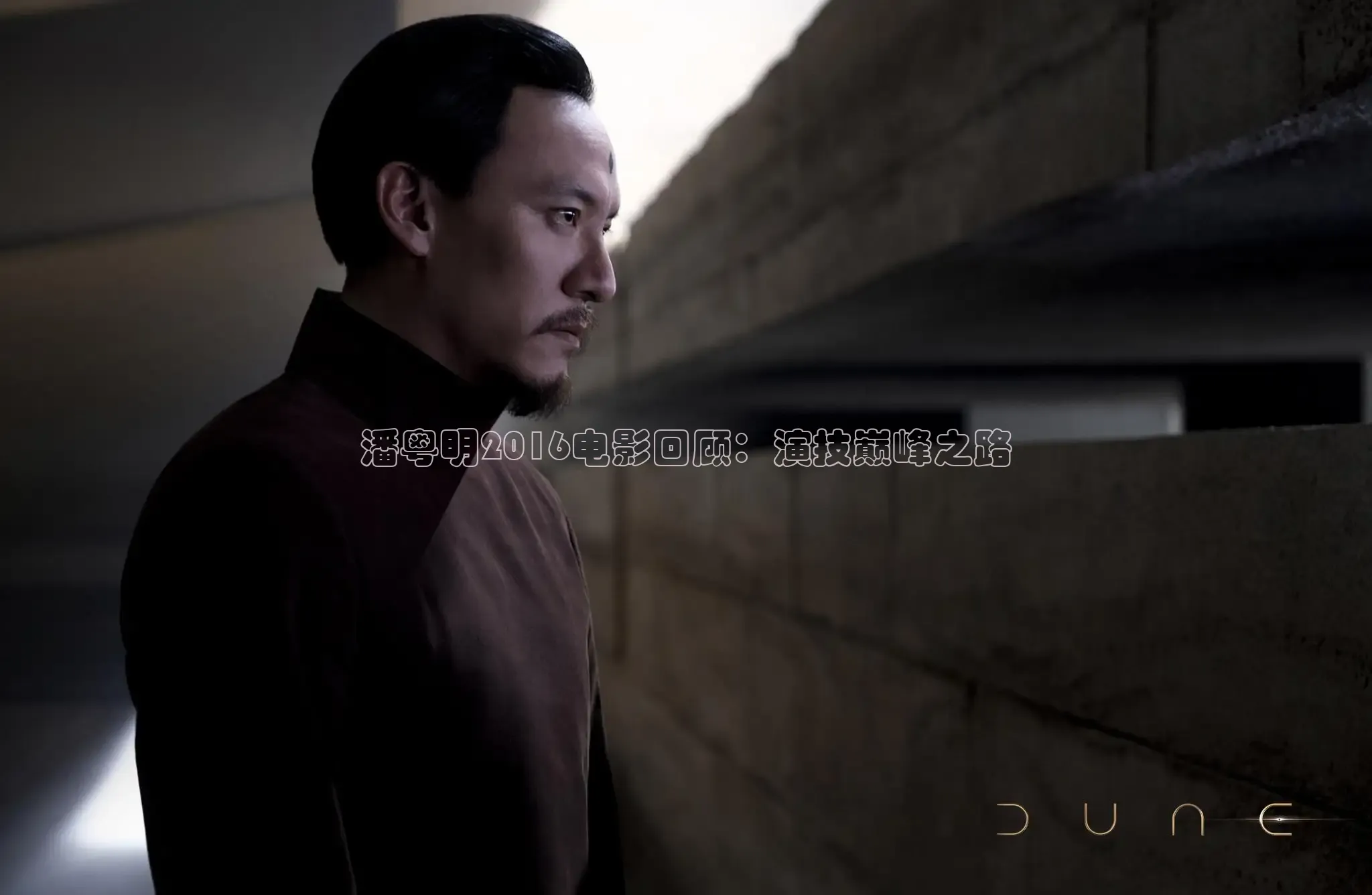 樱花视频高清免费看电视剧